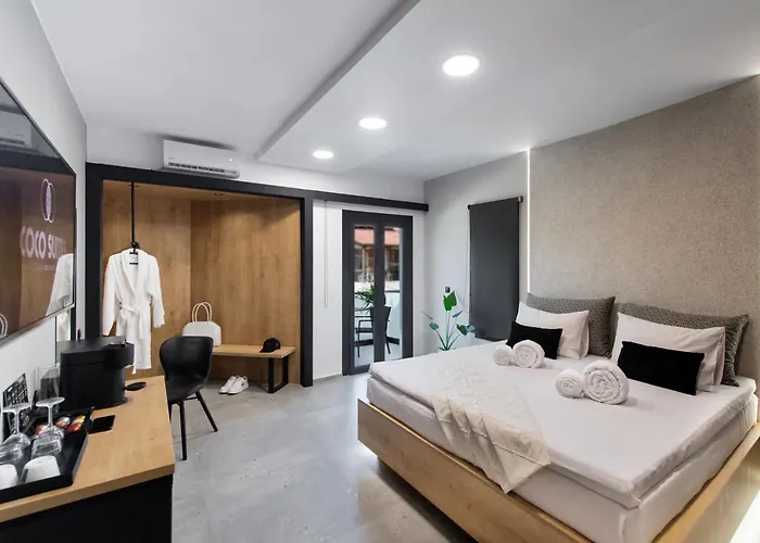 Appartement Coco Vasiliki